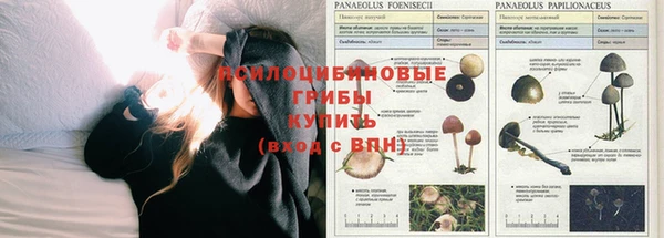 COCAINE Богородицк
