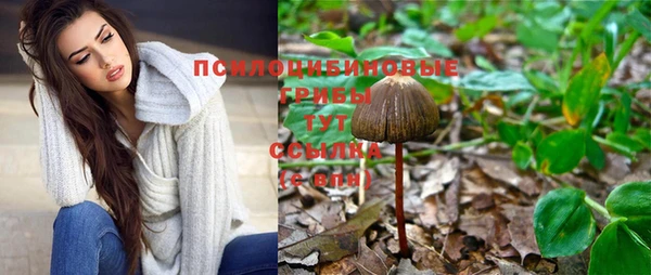 метамфетамин Богданович