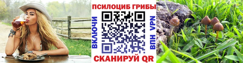это Telegram  Игра  mega зеркало  Псилоцибиновые грибы MAGIC MUSHROOMS  продажа наркотиков 